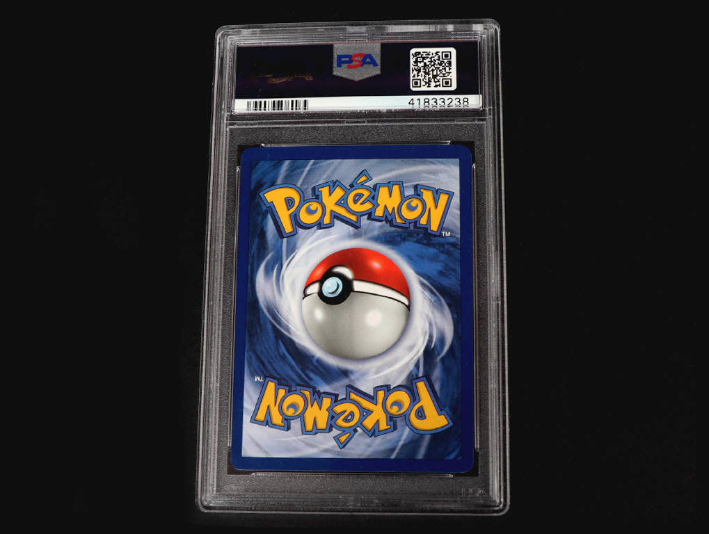 Lot 8 - POKEMON COMPANY (USA) (1)