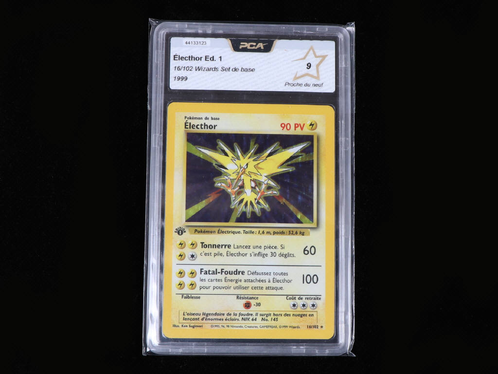 Lot 17 - POKEMON COMPANY (USA) (1)