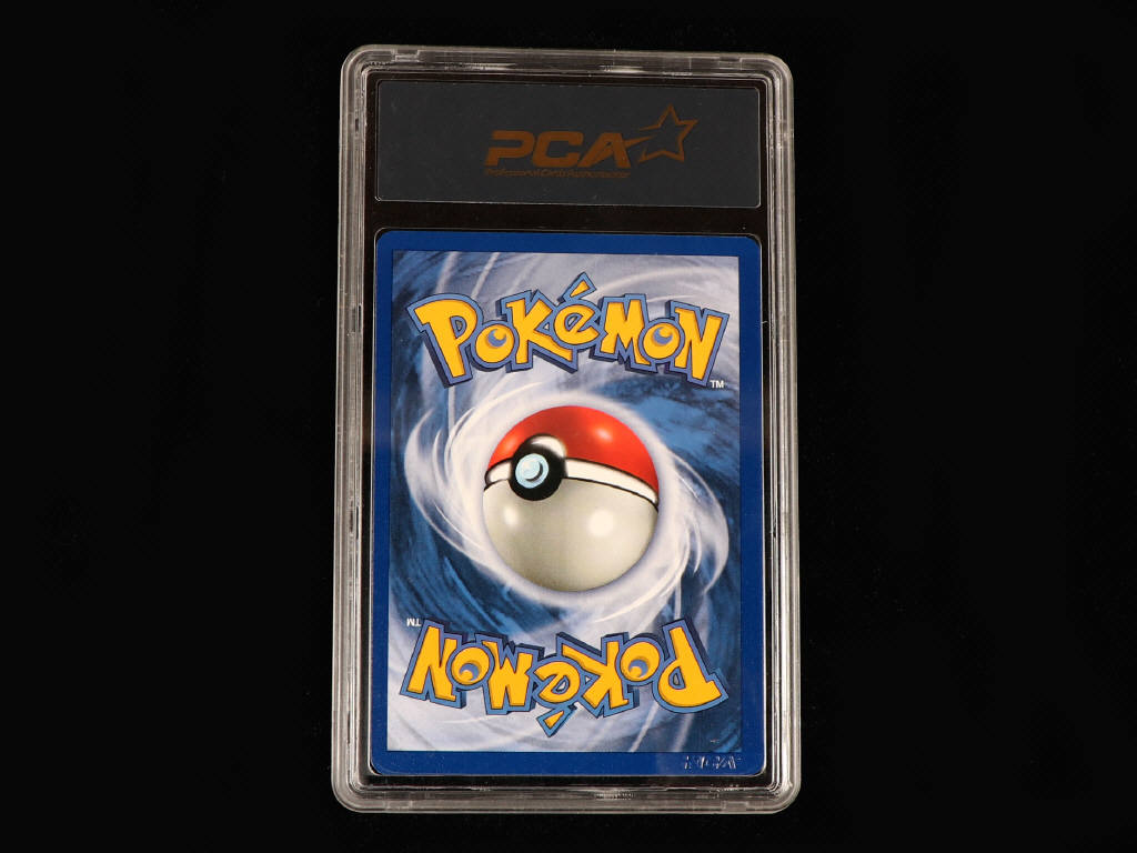 Lot 49 - POKEMON COMPANY (USA) (1)