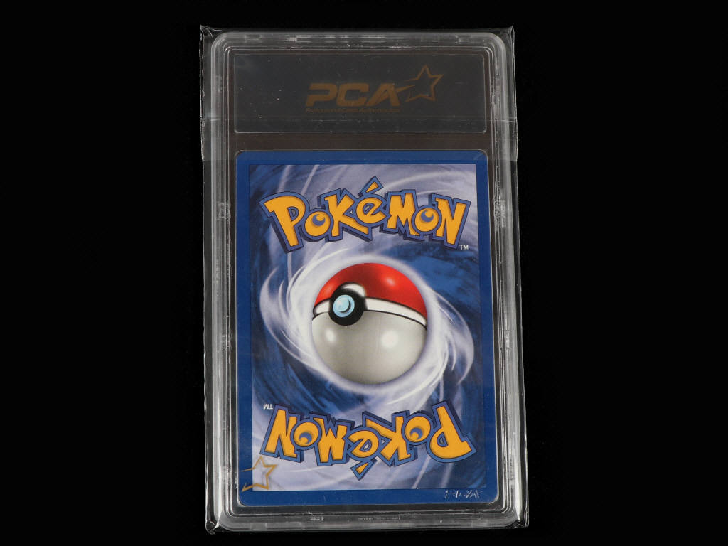 Lot 113 - POKEMON COMPANY (USA) (1)