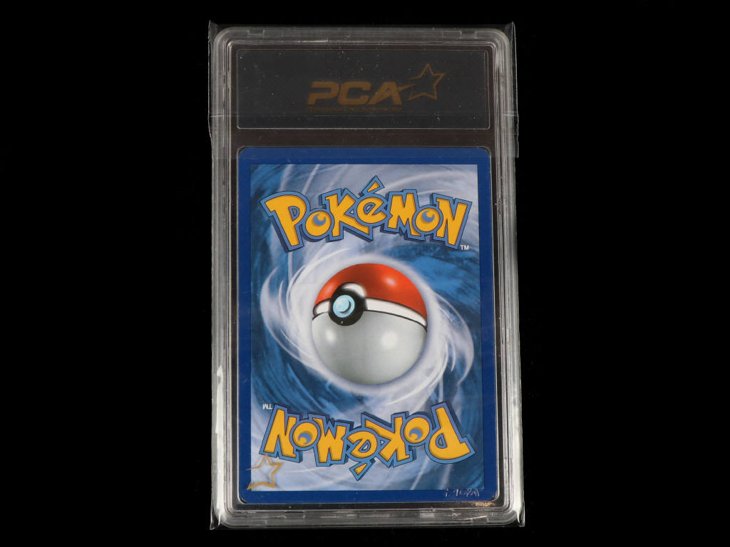 Lot 87 - POKEMON COMPANY (USA) (1)