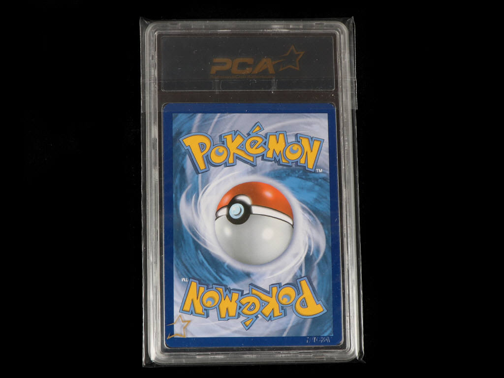 Lot 101 - POKEMON COMPANY (USA) (1)