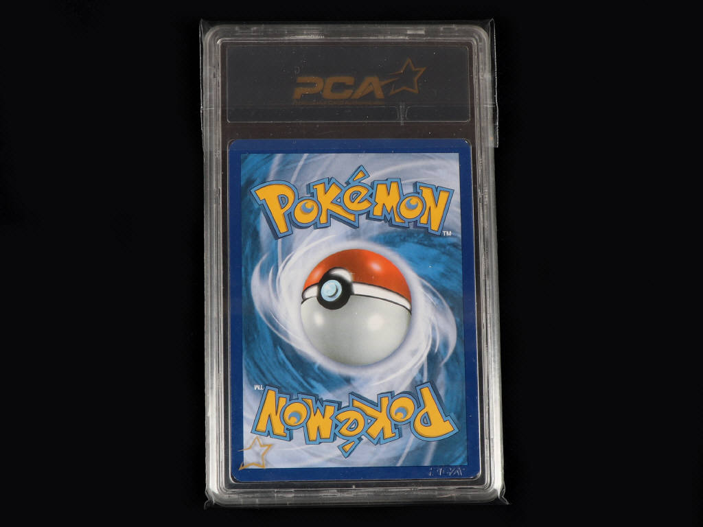 Lot 14 - POKEMON COMPANY (USA) (1)