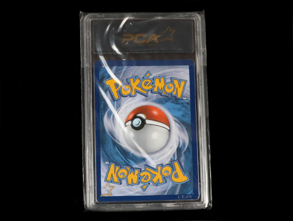 Lot 107 - POKEMON COMPANY (USA) (1)