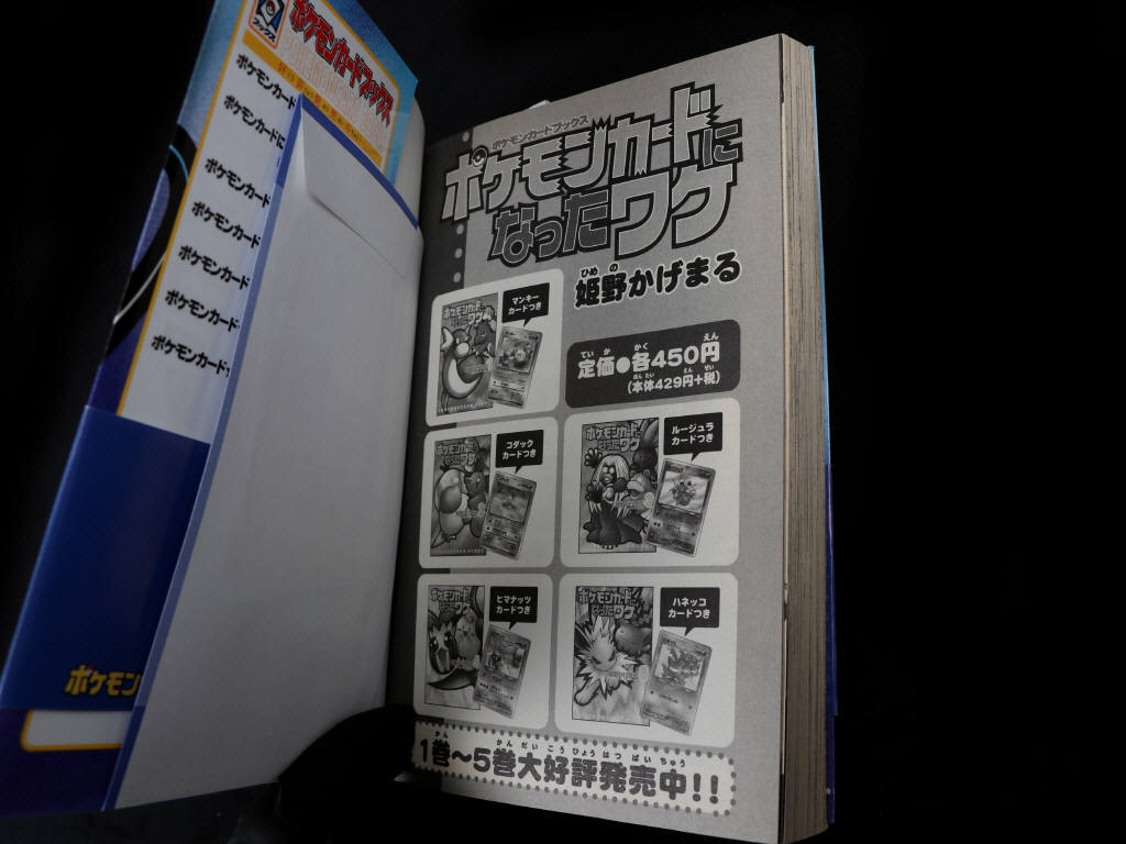 Lot 205 - POKEMON COMPANY (JAP) (1)