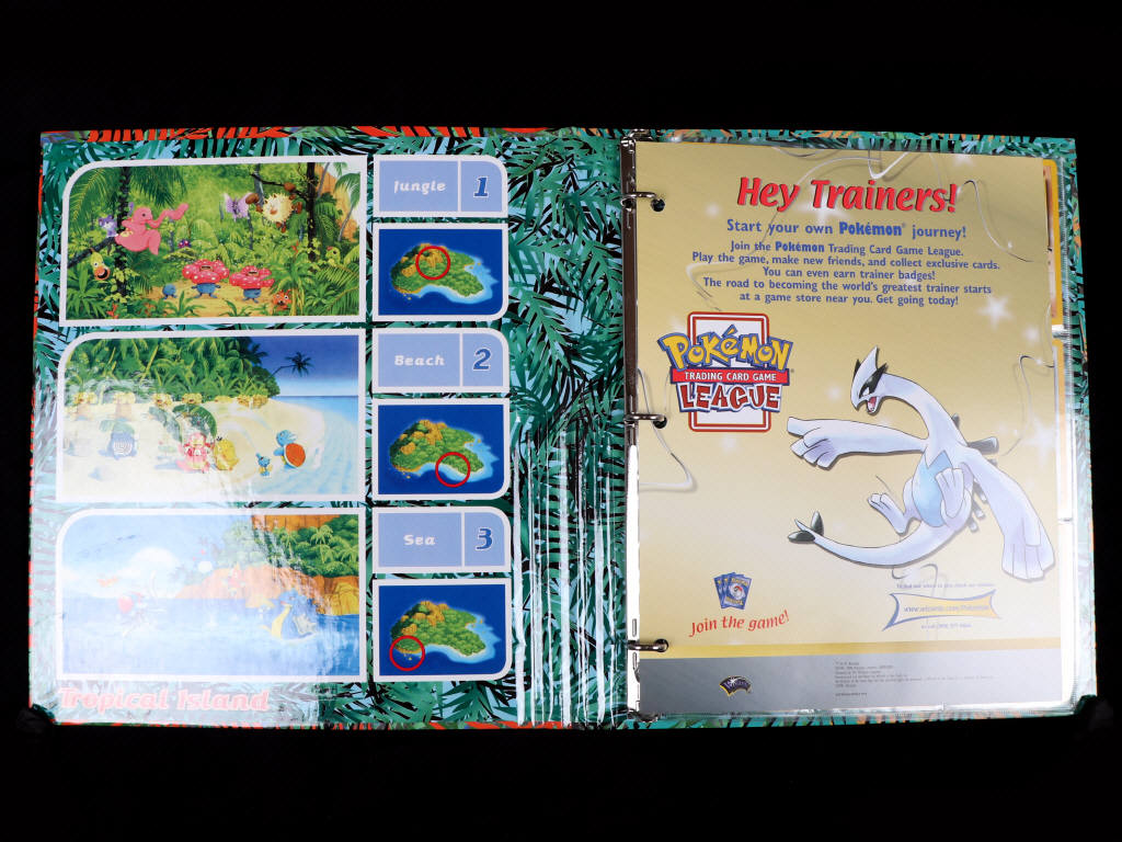 Lot 194 - POKEMON COMPANY (USA) (18)