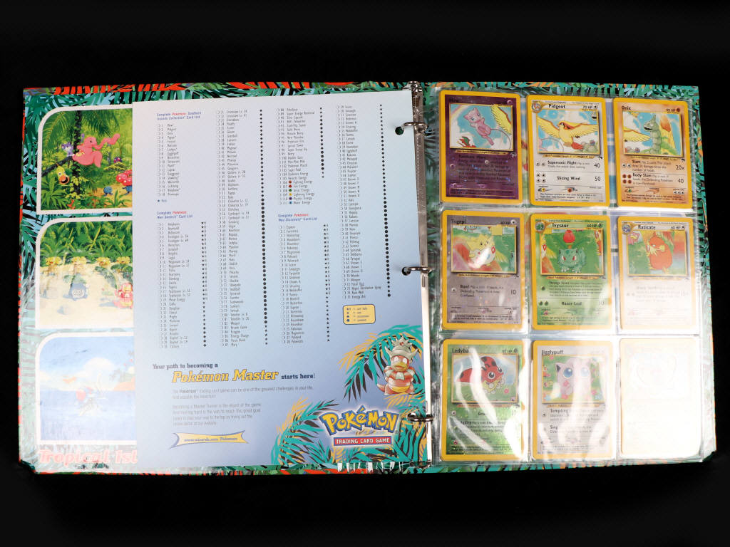Lot 194 - POKEMON COMPANY (USA) (18)