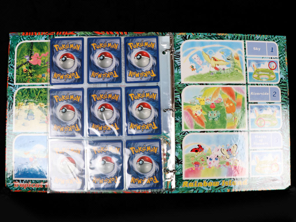 Lot 194 - POKEMON COMPANY (USA) (18)