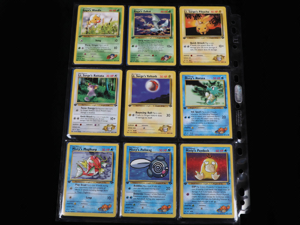 Lot 193 - POKEMON COMPANY (USA) (132)