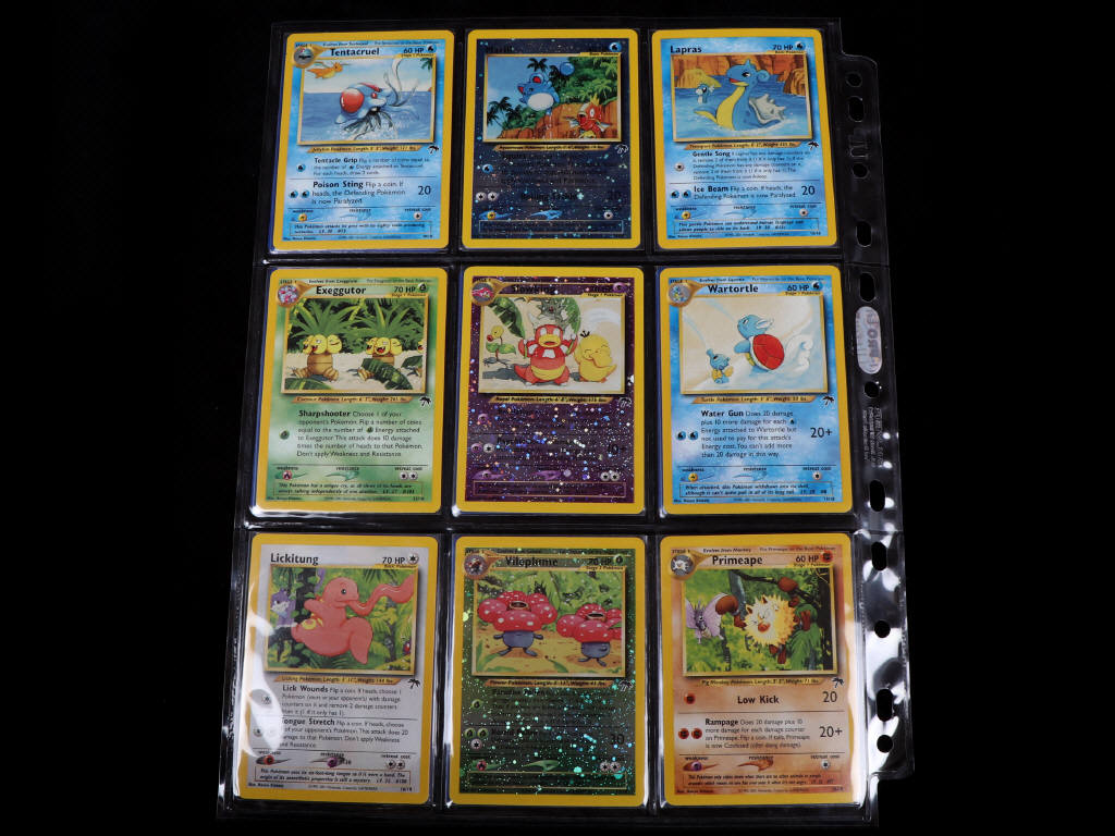 Lot 254 - POKEMON COMPANY (USA) (18)