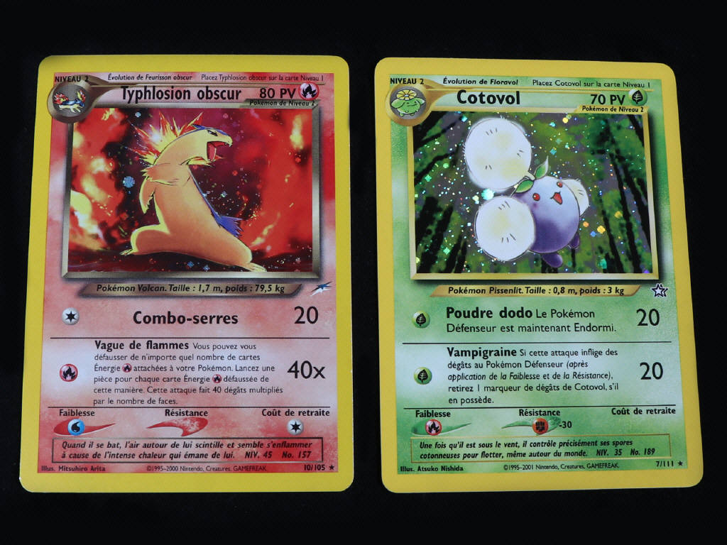 Lot 253 - POKEMON COMPANY (USA) (2)