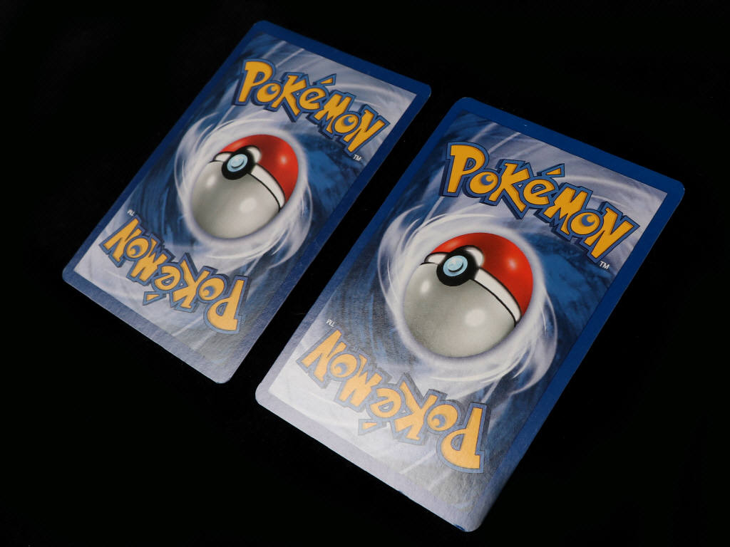 Lot 253 - POKEMON COMPANY (USA) (2)