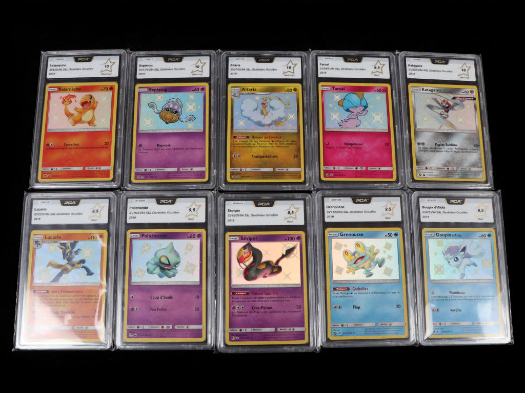 Lot 242 - POKEMON COMPANY (USA) (10)