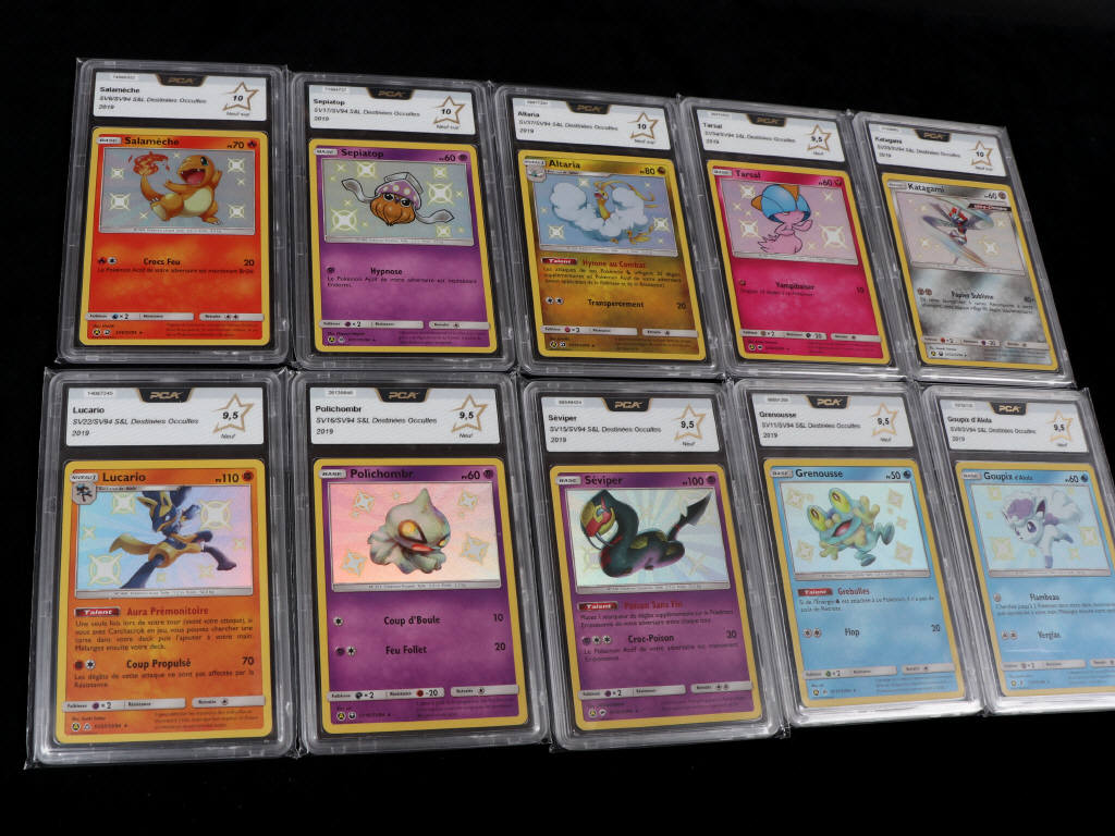 Lot 242 - POKEMON COMPANY (USA) (10)