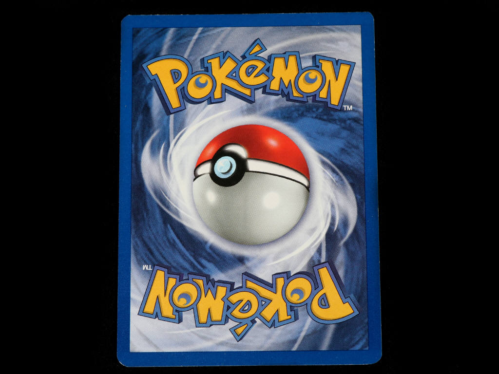 Lot 219 - POKEMON COMPANY (USA) (1)