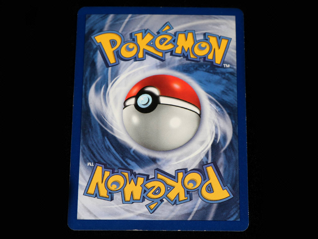 Lot 252 - POKEMON COMPANY (USA) (1)