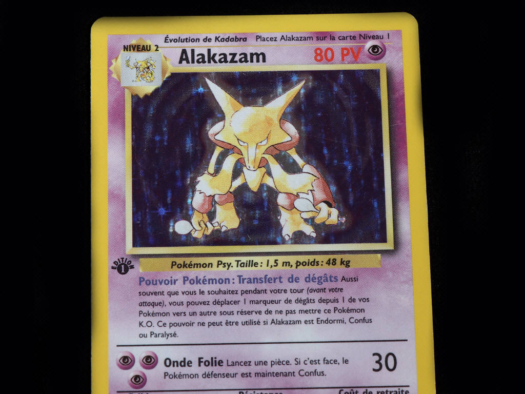 Lot 252 - POKEMON COMPANY (USA) (1)