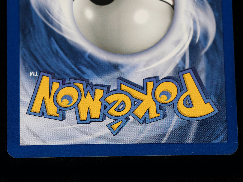 Lot 262 - POKEMON COMPANY (USA) (1)