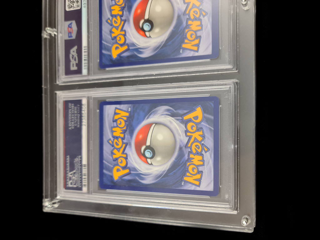 Lot 245 - POKEMON COMPANY (USA) (3)