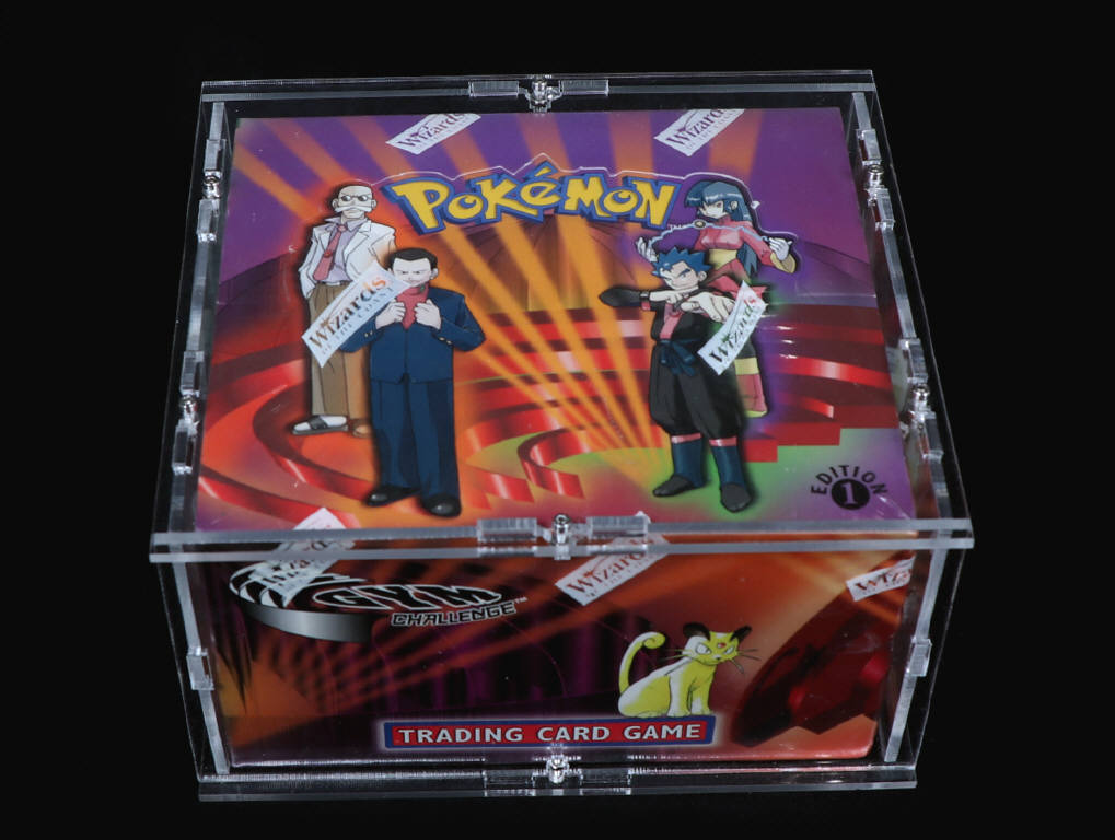 Lot 9 - POKEMON COMPANY (USA) (1)