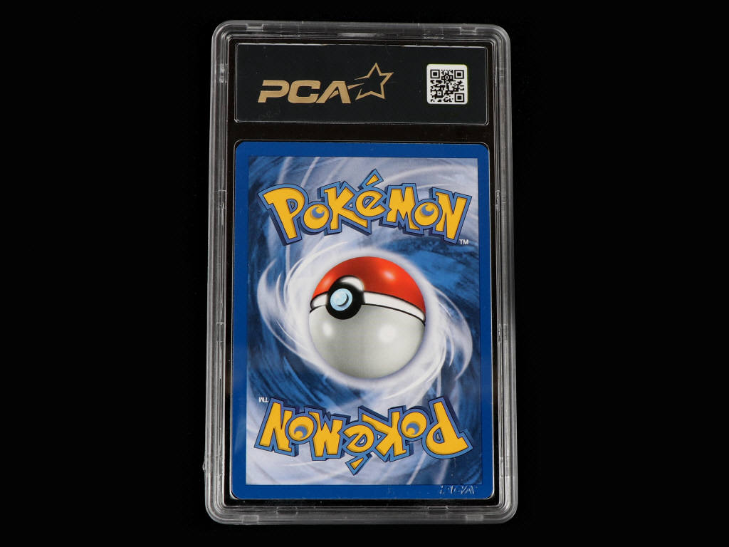 Lot 17 - POKEMON COMPANY (FRANCE) (1)