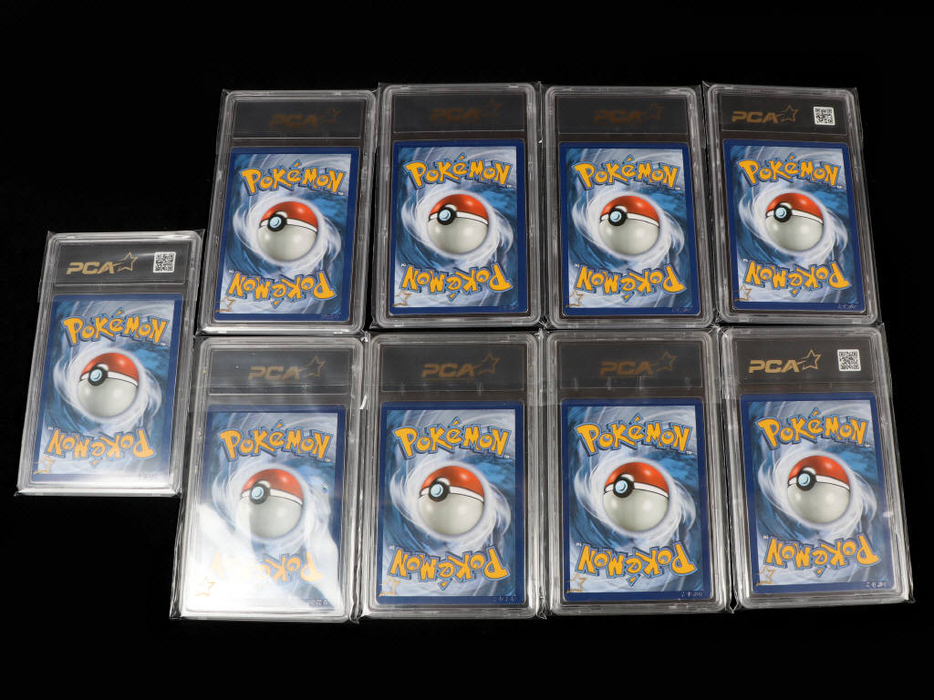 Lot 73 - POKEMON COMPANY (FRANCE) (9)