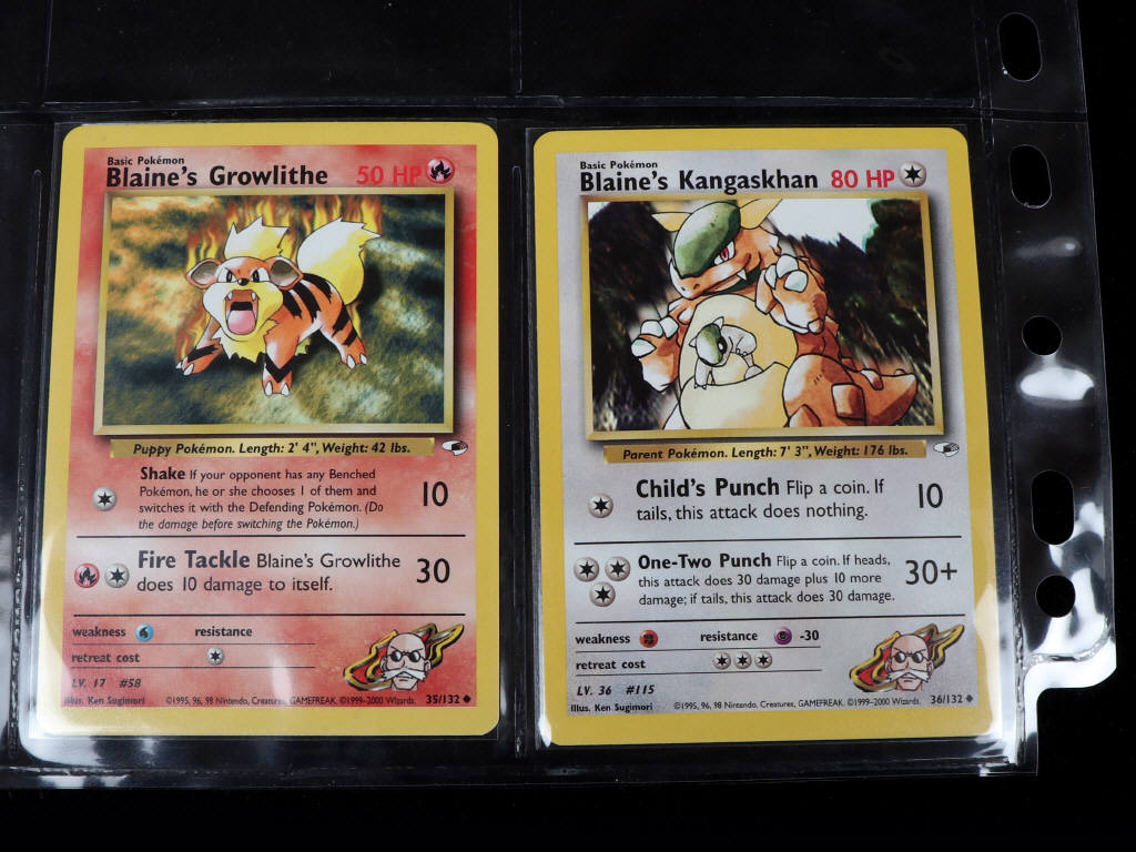 Lot 51 - POKEMON COMPANY (USA) (132)