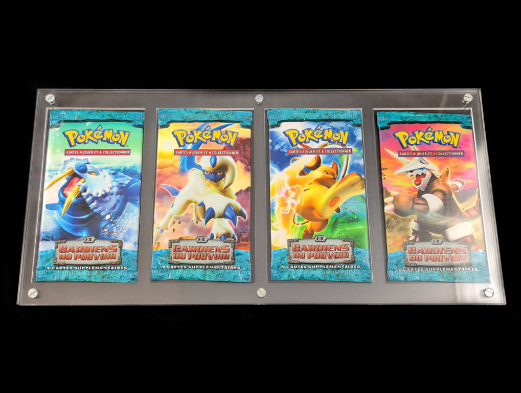 Lot 46 - POKEMON COMPANY (FRANCE) (15)