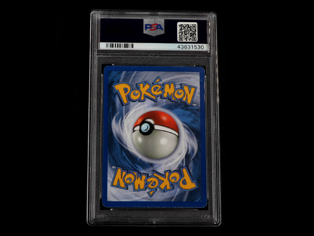 Lot 30 - POKEMON COMPANY (USA) (1)