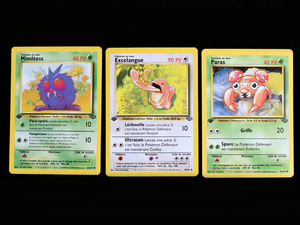 Lot 53 - POKEMON COMPANY (FRANCE) (3)