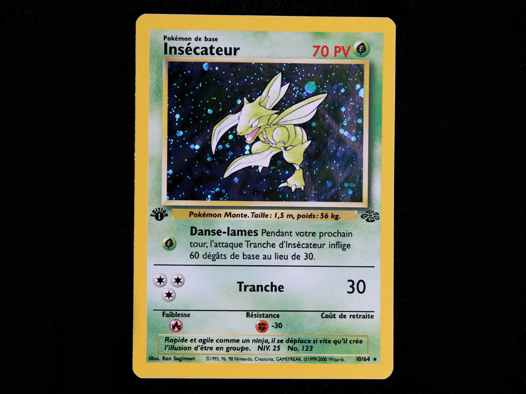 Lot 12 - POKEMON COMPANY (FRANCE) (1)