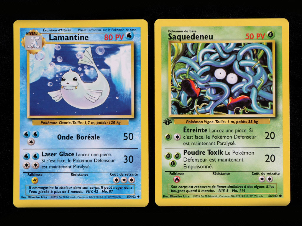 Lot 35 - POKEMON COMPANY (FRANCE) (2)