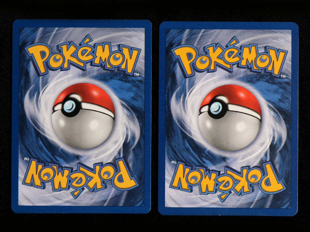 Lot 36 - POKEMON COMPANY (FRANCE) (2)