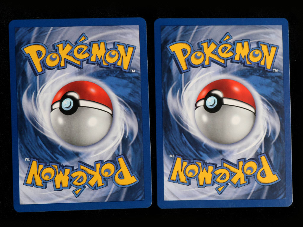 Lot 40 - POKEMON COMPANY (FRANCE) (2)