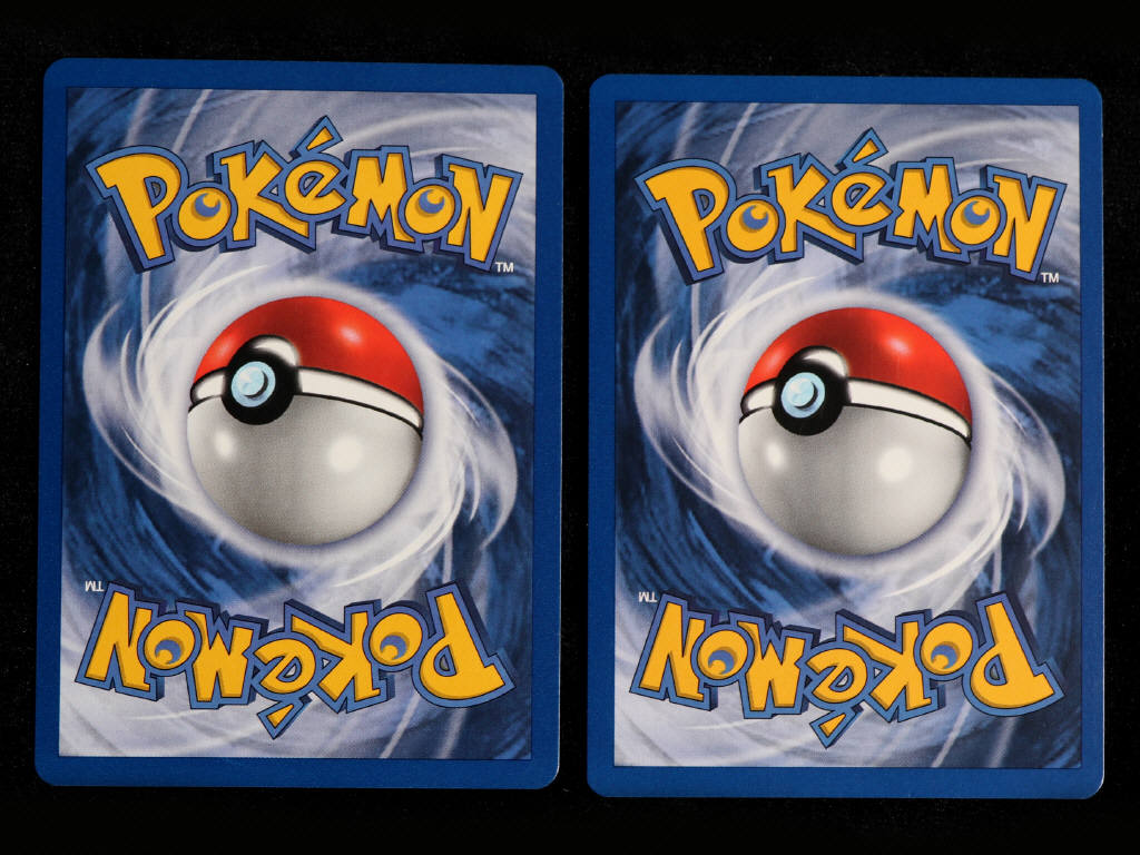 Lot 41 - POKEMON COMPANY (FRANCE) (2)
