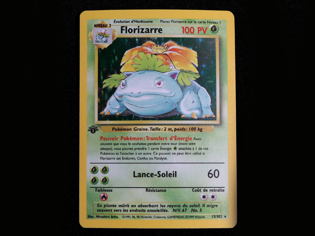 Lot 14 - POKEMON COMPANY (FRANCE) (1)