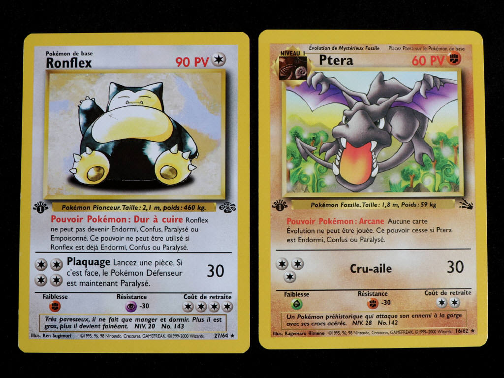 Lot 45 - POKEMON COMPANY (FRANCE) (2)