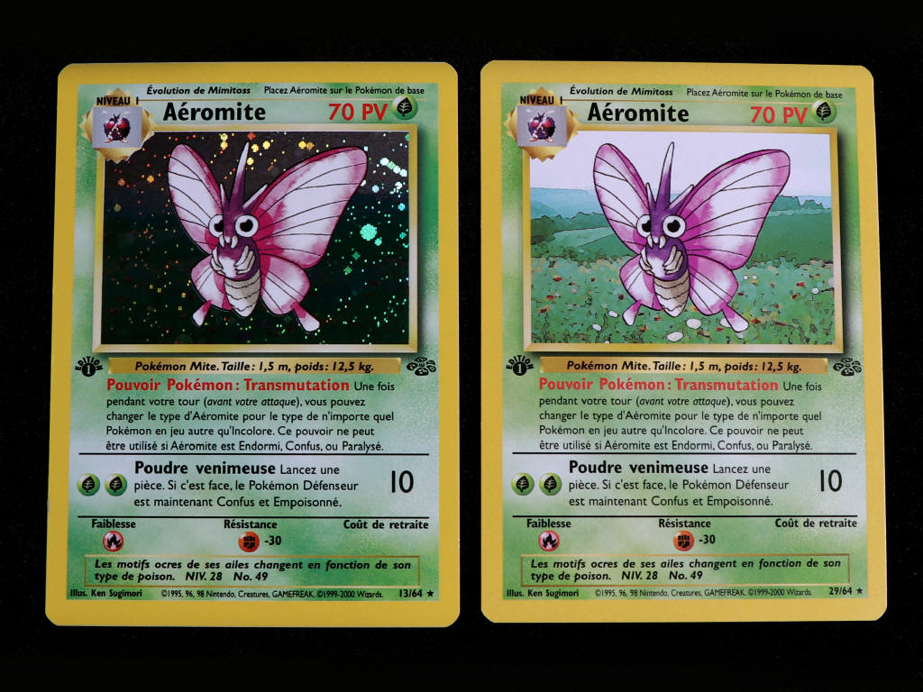 Lot 30 - POKEMON COMPANY (FRANCE) (2)