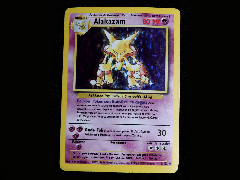 Lot 7 - POKEMON COMPANY (FRANCE) (1)