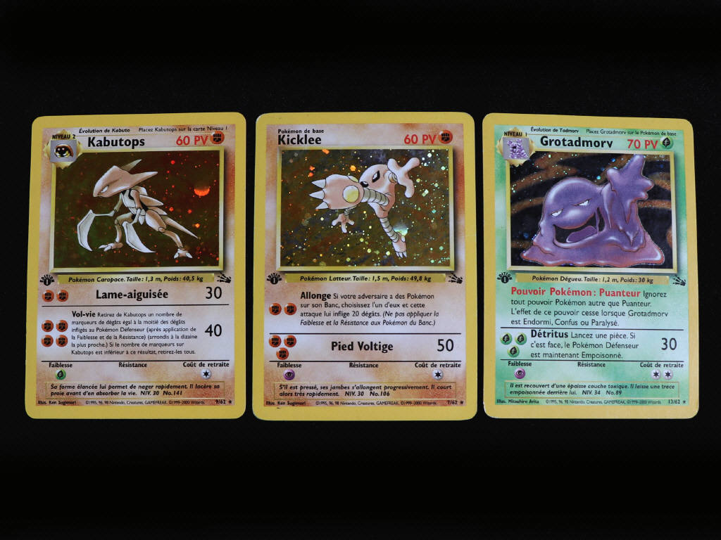 Lot 103 - POKEMON COMPANY (FRANCE) (24)