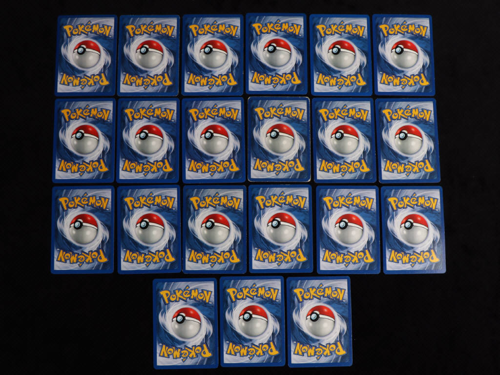 Lot 40 - POKEMON COMPANY (FRANCE) (21)