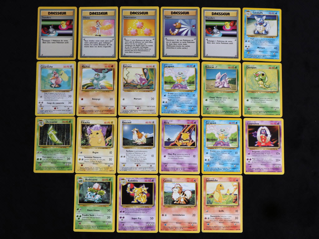 Lot 43 - POKEMON COMPANY (FRANCE) (22)