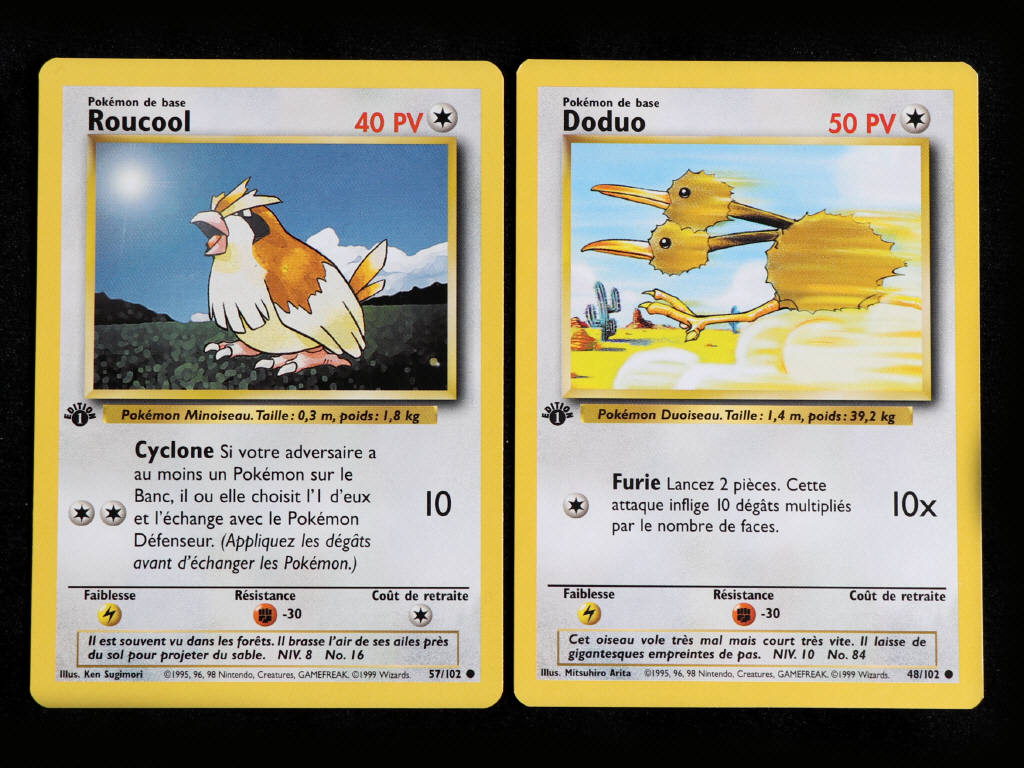 Lot 8 - POKEMON COMPANY (FRANCE) (2)
