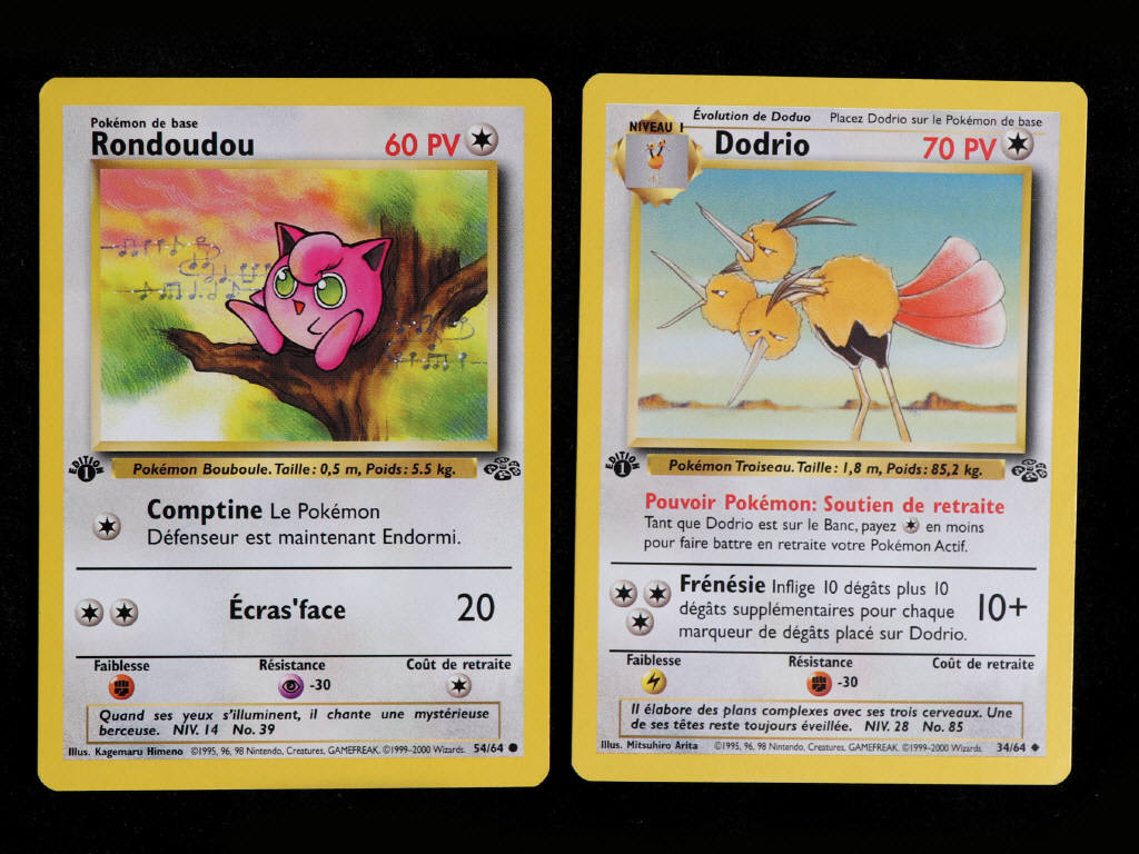 Lot 4 - POKEMON COMPANY (FRANCE) (2)