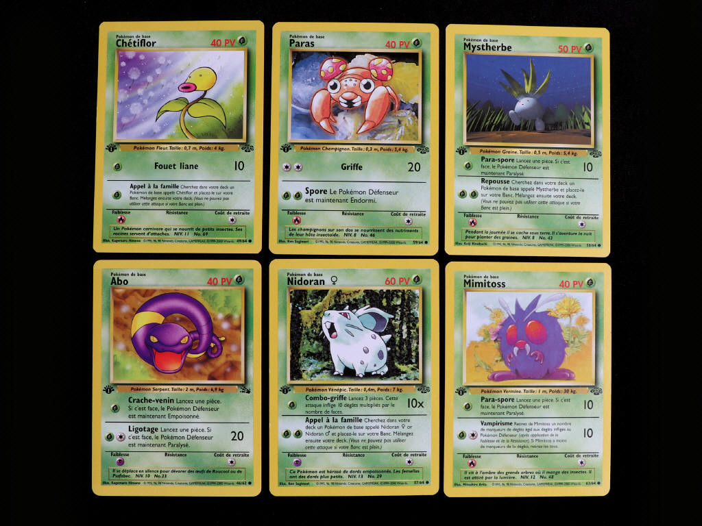 Lot 28 - POKEMON COMPANY (FRANCE) (6)
