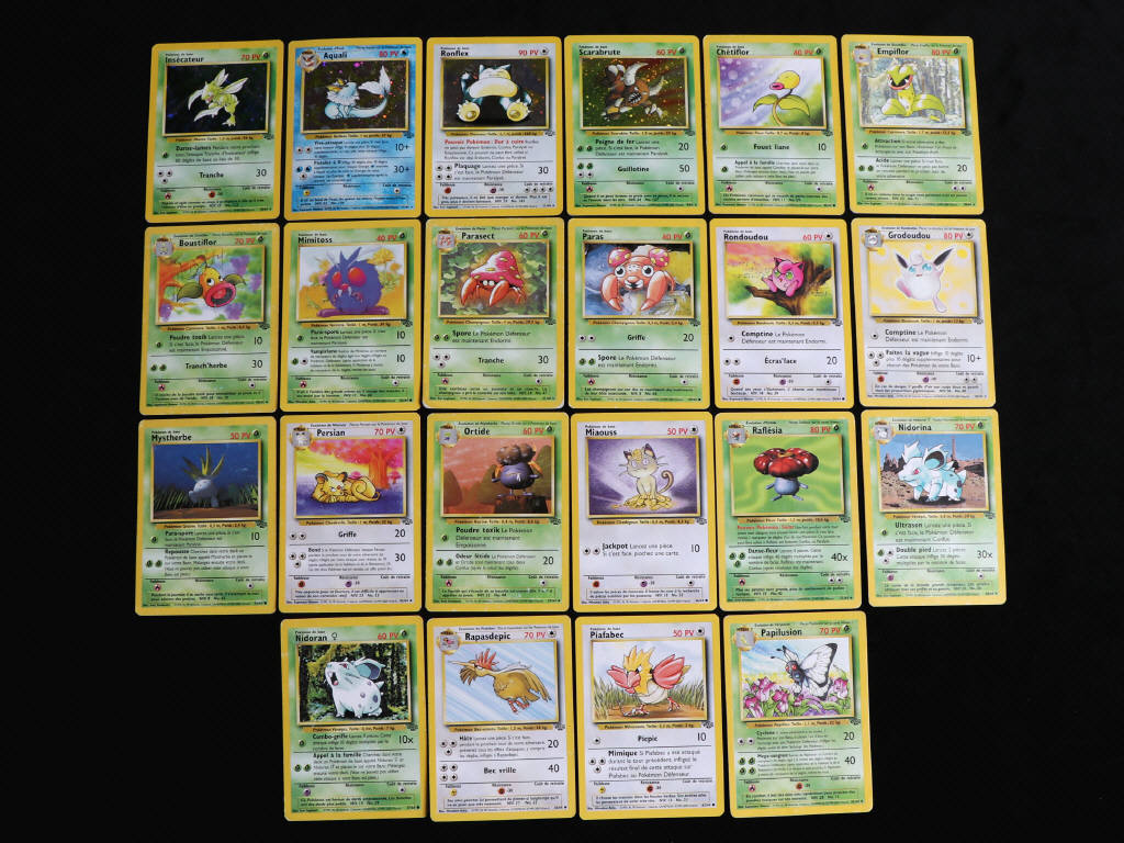 Lot 44 - POKEMON COMPANY (FRANCE) (22)