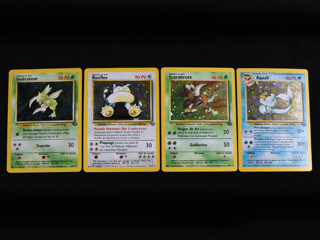 Lot 44 - POKEMON COMPANY (FRANCE) (22)