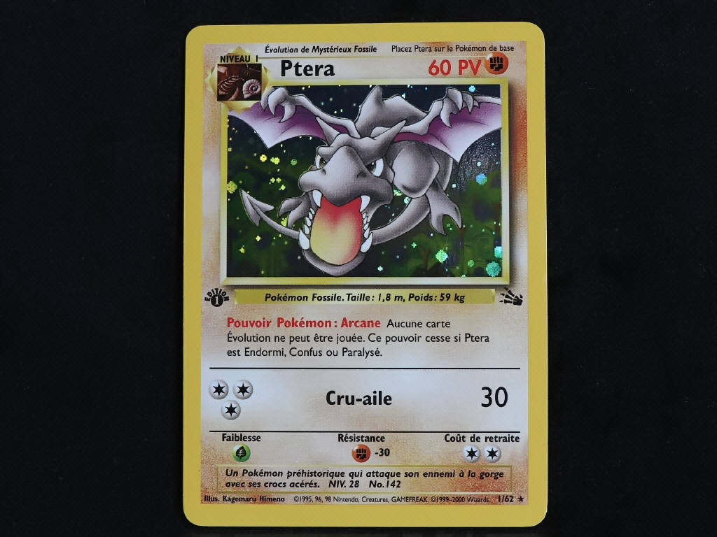 Lot 85 - POKEMON COMPANY (FRANCE) (1)