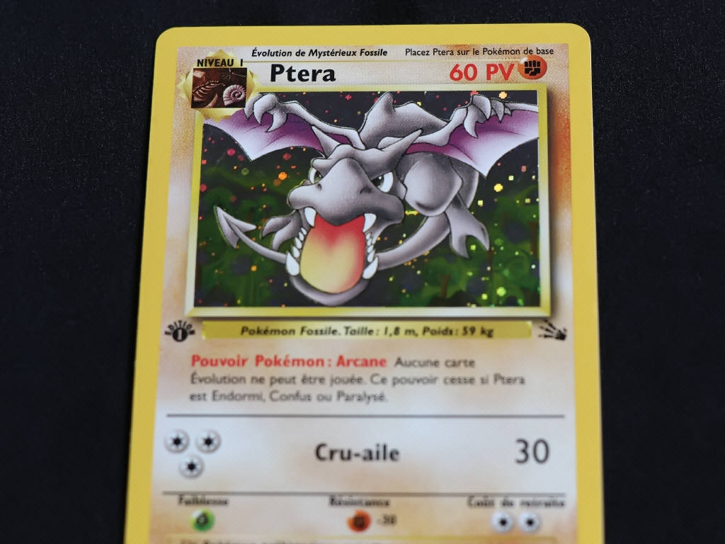 Lot 85 - POKEMON COMPANY (FRANCE) (1)