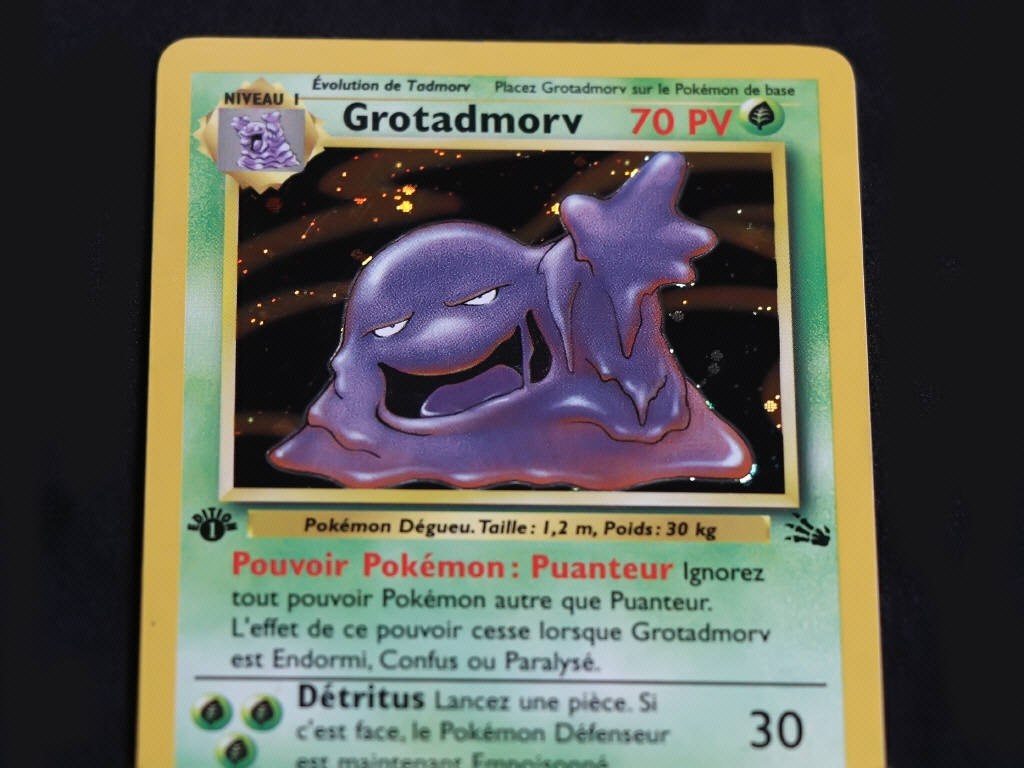Lot 87 - POKEMON COMPANY (FRANCE) (1)